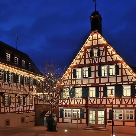 Apartment Wohnung Ditzingen